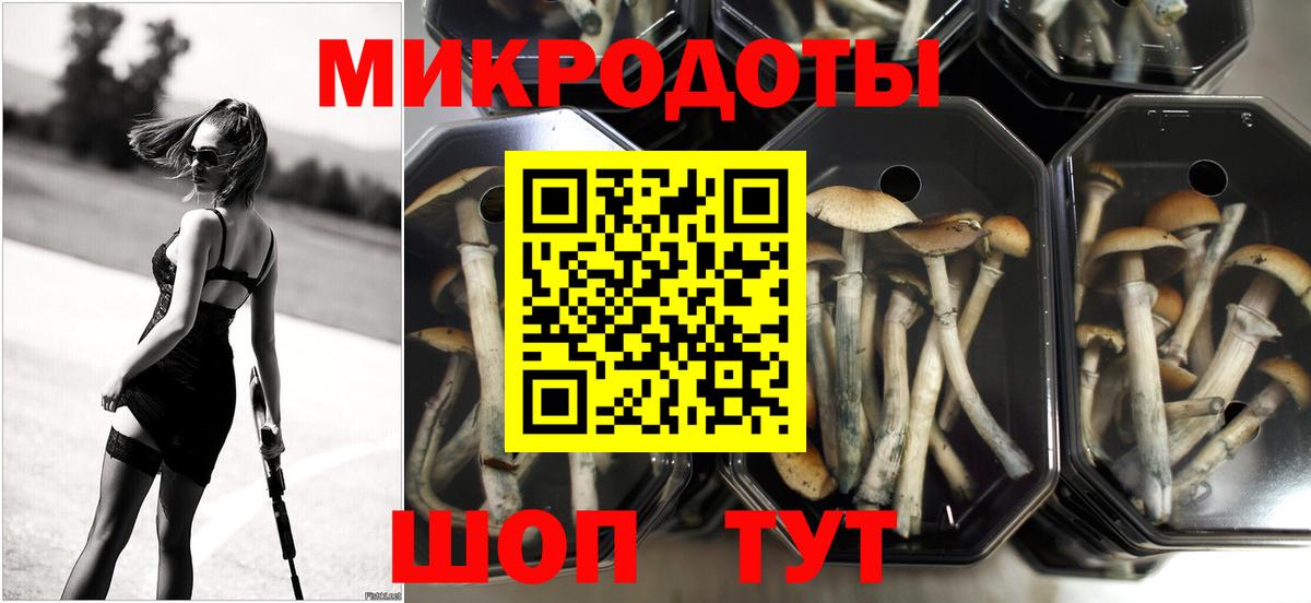 Псилоцибиновые грибы ЛСД  Вход с VPN  продажа наркотиков  Коркино 